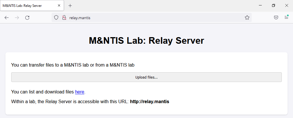 Relay server interface