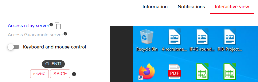 Access relay server link in the Interactive view tab